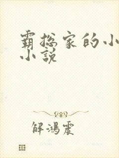 霸总家的小奶狼小说