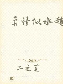 柔情似水赵雅儿