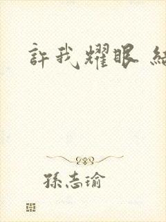 许我耀眼 结局