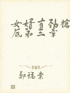 女婿有劲枪枪到底第三章封面