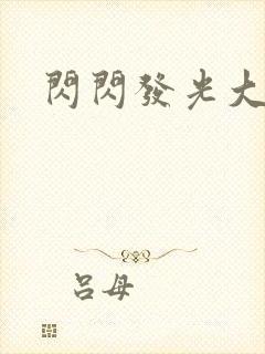 闪闪发光大团结封面