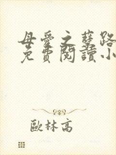 母爱之孽路全文免费阅读小说最新章