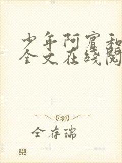 少年阿宾和房东全文在线阅读