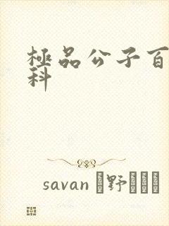 极品公子百度百科