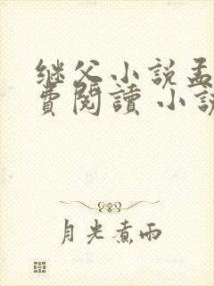 继父小说孟还免费阅读 小说封面