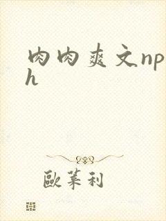 肉肉爽文np高h
