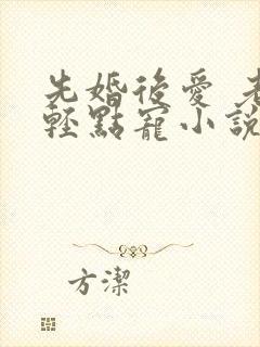 先婚后爱 老公轻点宠小说