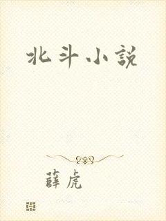 北斗小说
