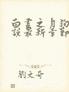 白昼之月狗子小说最新章节免费阅读