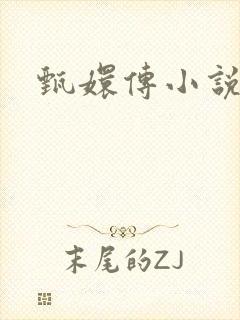 甄嬛传小说