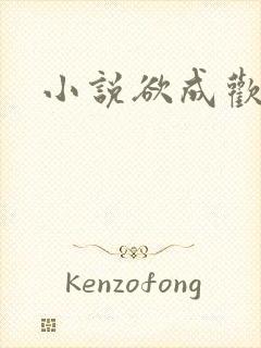 小说欲成欢