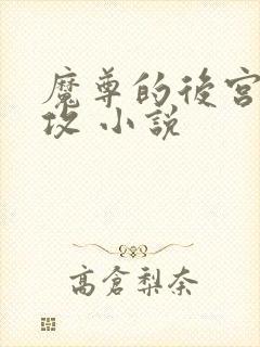 魔尊的后宫 女攻 小说