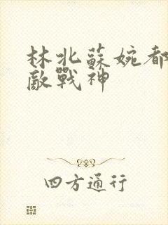林北苏婉都市无敌战神封面