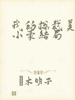 我的总裁美母林小豪结局