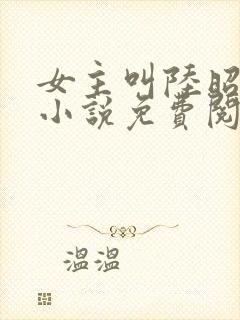 女主叫陆昭菱的小说免费阅读