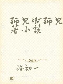 师兄啊师兄的原著小说封面