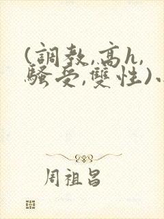 (调教,高h,骚受,双性)小说封面