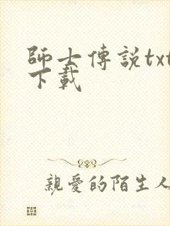 师士传说txt下载