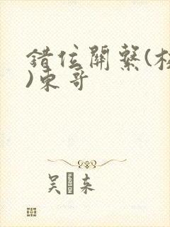 错位关系(校园)东哥