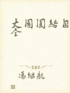 大团圆结目录大全
