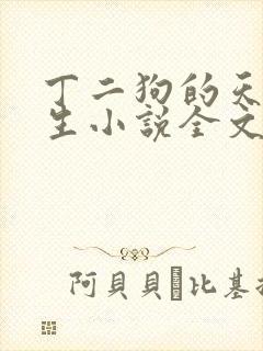 丁二狗的天梯人生小说全文免费阅读封面