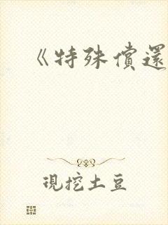 《特殊偿还》封面