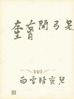 左右开弓是什么生肖