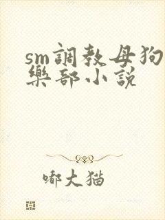 sm调教母狗俱乐部小说