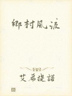 乡村风流封面