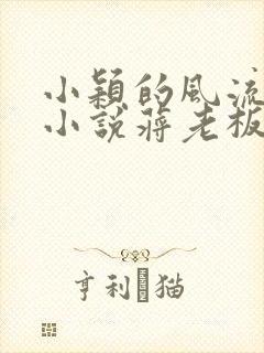 小颖的风流人生小说蒋老板在线阅读免费封面