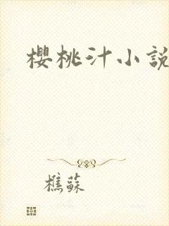 樱桃汁小说