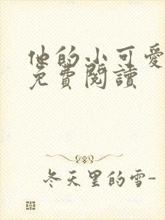 他的小可爱全文免费阅读