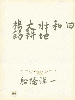杨大壮和田桂花的耕地