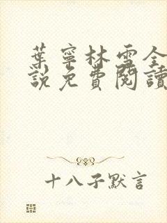 叶宁林雪全文小说免费阅读