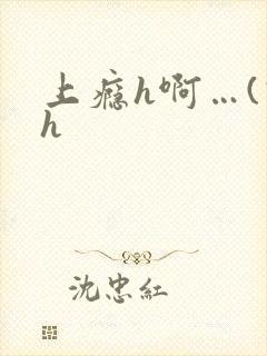 上瘾h啊…(高h