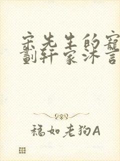 宋先生的宠妻计划轩家沐言
