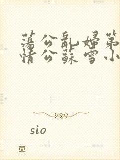 荡公乱妇第1章情公苏雪小说
