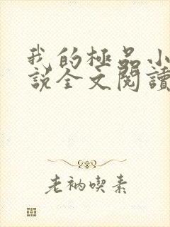 我的极品小姨小说全文阅读免费封面