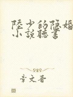 陆少的隐婚罪妻小说听书