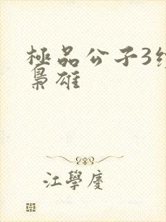 极品公子3续世枭雄