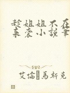 趁姐姐不在妹妹来袭小说笔趣阁最新封面