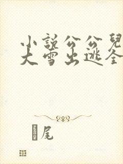 小说公公儿媳妇大雪出逃全文阅读