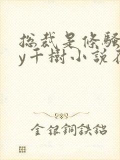 总裁是条骚狗by千树小说在线阅读最新