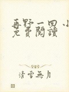 再野一回 小说免费阅读封面