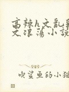 高辣h文乱乳h文浪荡小说