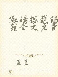 傲娇总裁的心尖宠全文免费阅读封面