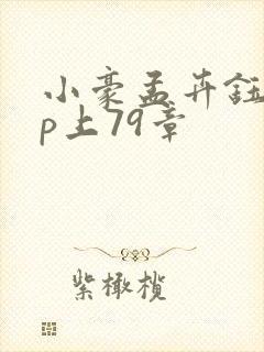 小豪孟卉钰慧三p上79章封面