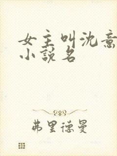 女主叫沈意欢的小说名封面