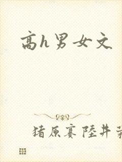 高h男女文