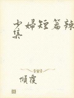 少妇短篇辣文合集封面